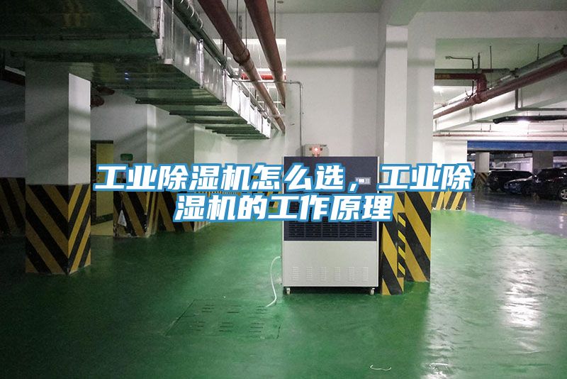 工業(yè)除濕機(jī)怎么選，工業(yè)除濕機(jī)的工作原理
