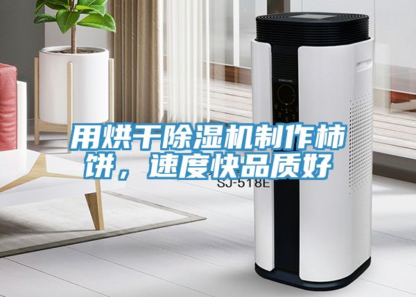 用烘干除濕機(jī)制作柿餅，速度快品質(zhì)好