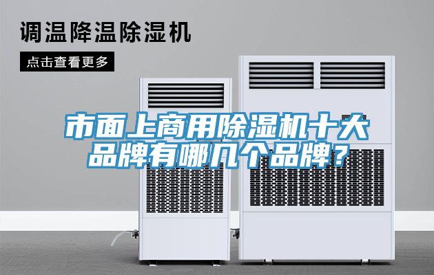 市面上商用除濕機(jī)十大品牌有哪幾個(gè)品牌？