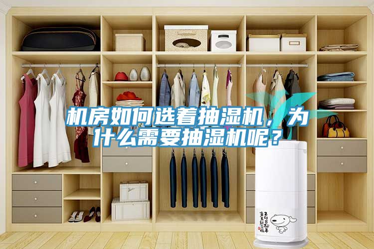 機房如何選著抽濕機，為什么需要抽濕機呢？