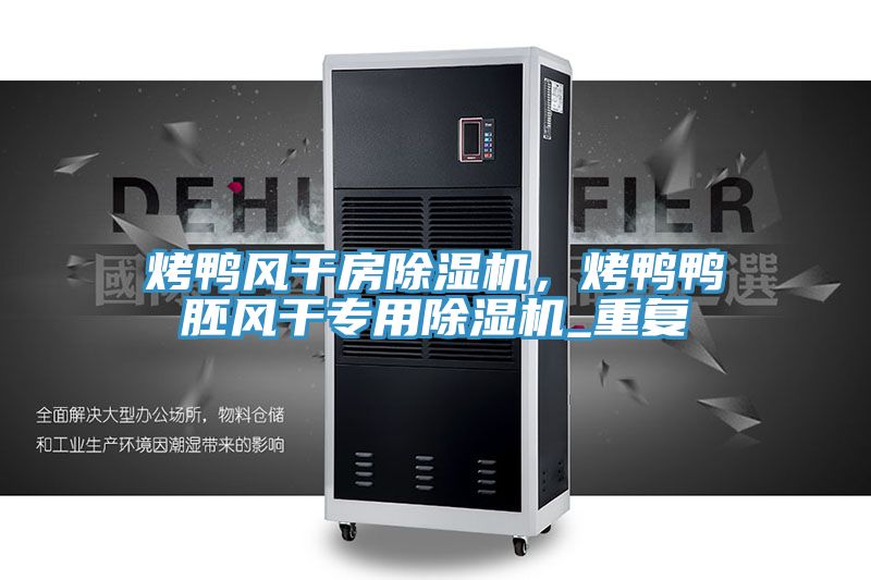 烤鴨風(fēng)干房除濕機，烤鴨鴨胚風(fēng)干專用除濕機_重復(fù)