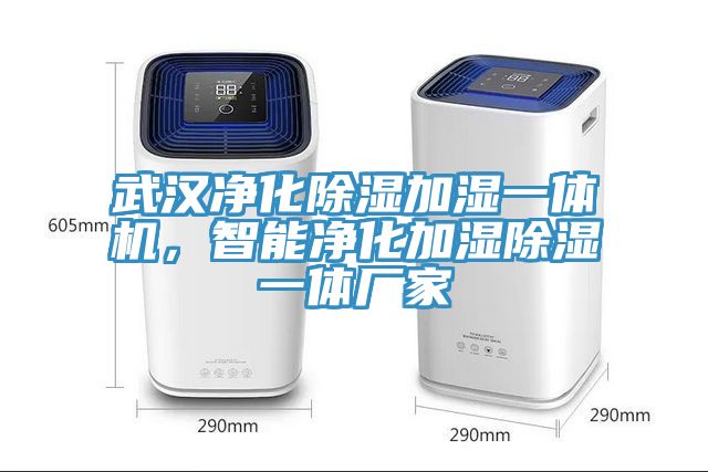 武漢凈化除濕加濕一體機(jī)，智能凈化加濕除濕一體廠家