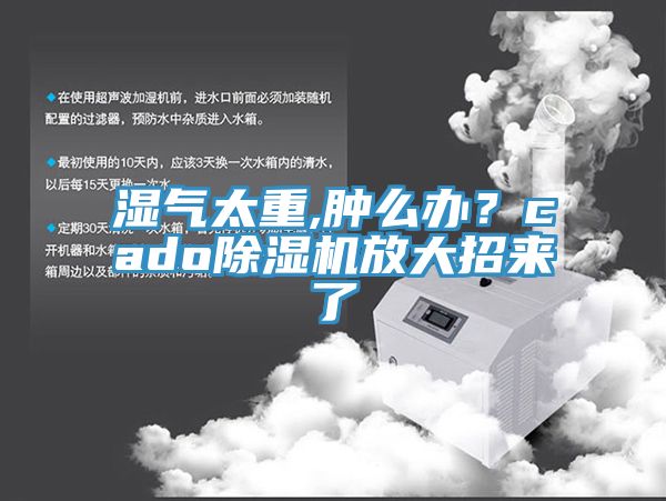 濕氣太重,腫么辦？cado除濕機(jī)放大招來了
