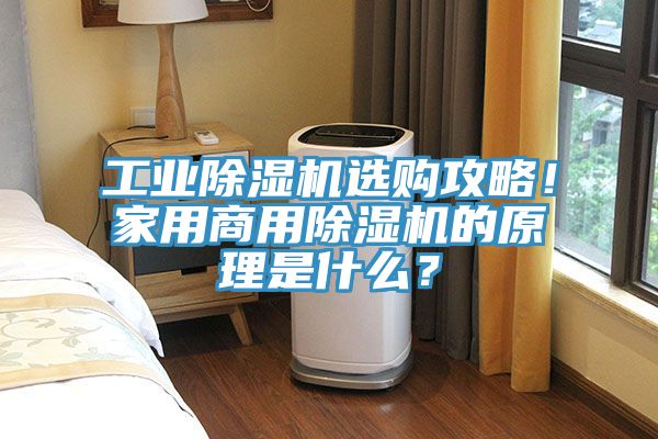 工業(yè)除濕機(jī)選購攻略！家用商用除濕機(jī)的原理是什么？