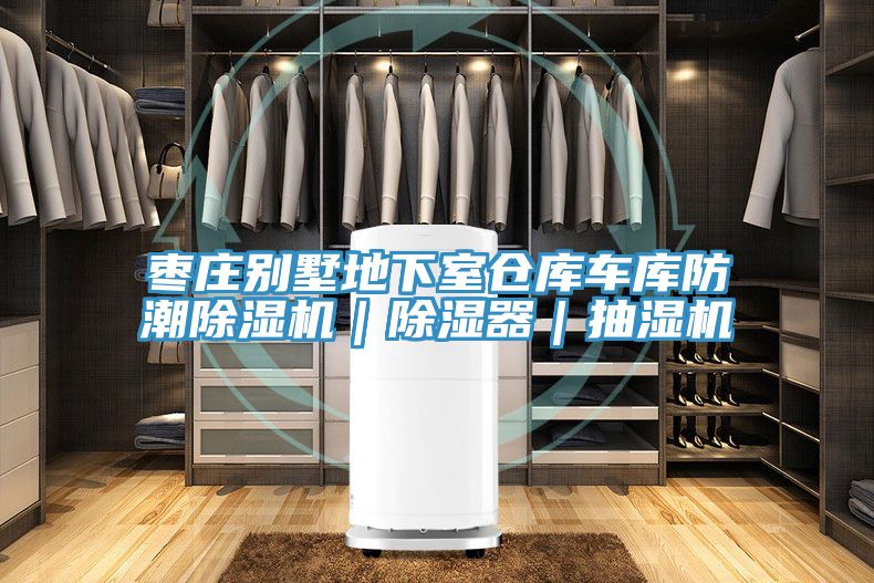 棗莊別墅地下室倉(cāng)庫(kù)車(chē)庫(kù)防潮除濕機(jī)｜除濕器｜抽濕機(jī)