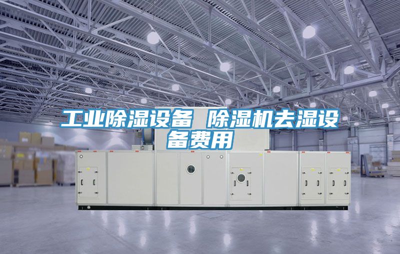 工業(yè)除濕設(shè)備 除濕機去濕設(shè)備費用