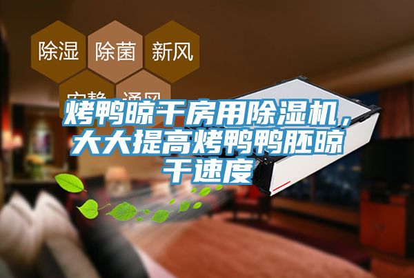 烤鴨晾干房用除濕機，大大提高烤鴨鴨胚晾干速度