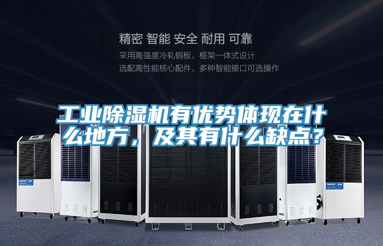 工業(yè)除濕機(jī)有優(yōu)勢(shì)體現(xiàn)在什么地方，及其有什么缺點(diǎn)？