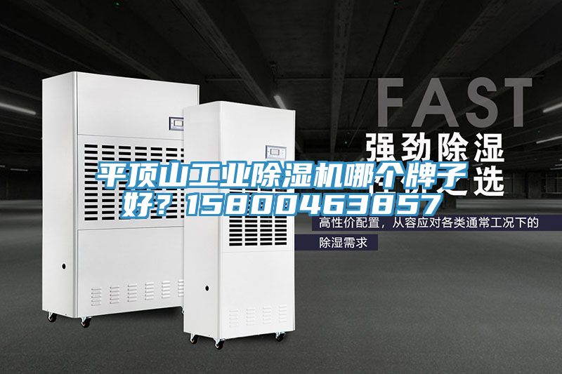 平頂山工業(yè)除濕機哪個牌子好？15800463857