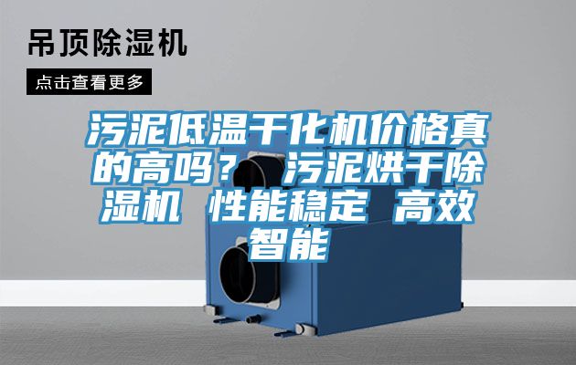 污泥低溫干化機價格真的高嗎？ 污泥烘干除濕機 性能穩(wěn)定 高效智能