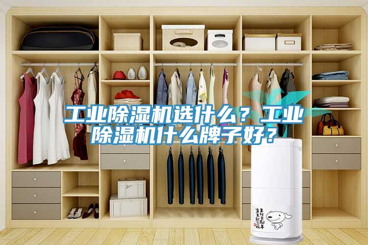 工業(yè)除濕機(jī)選什么？工業(yè)除濕機(jī)什么牌子好？