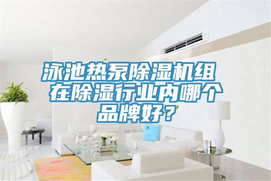 泳池?zé)岜贸凉駲C(jī)組 在除濕行業(yè)內(nèi)哪個(gè)品牌好？