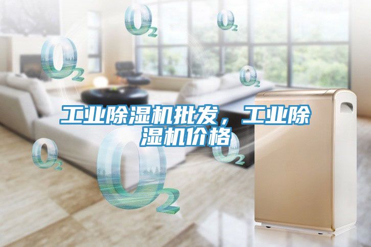 工業(yè)除濕機(jī)批發(fā)，工業(yè)除濕機(jī)價(jià)格