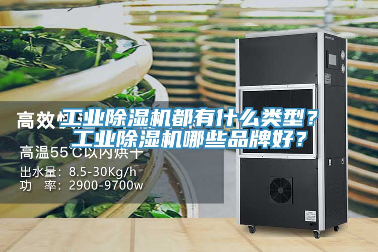 工業(yè)除濕機(jī)都有什么類型？工業(yè)除濕機(jī)哪些品牌好？