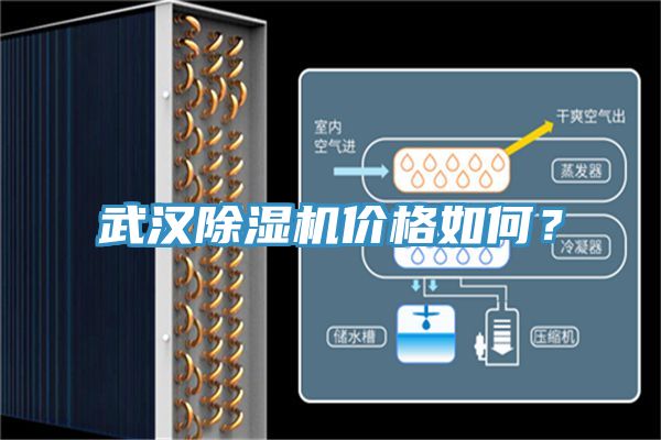 武漢除濕機(jī)價(jià)格如何？
