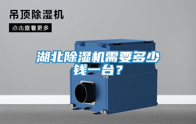 湖北除濕機(jī)需要多少錢一臺(tái)？