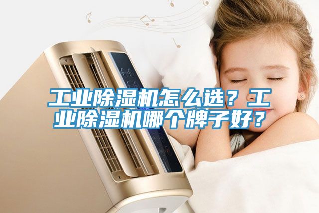 工業(yè)除濕機(jī)怎么選？工業(yè)除濕機(jī)哪個牌子好？