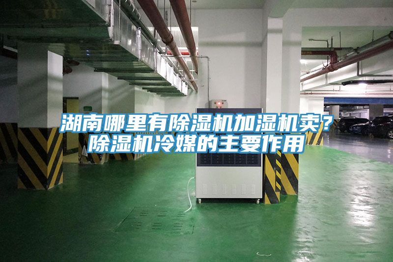 湖南哪里有除濕機(jī)加濕機(jī)賣？除濕機(jī)冷媒的主要作用