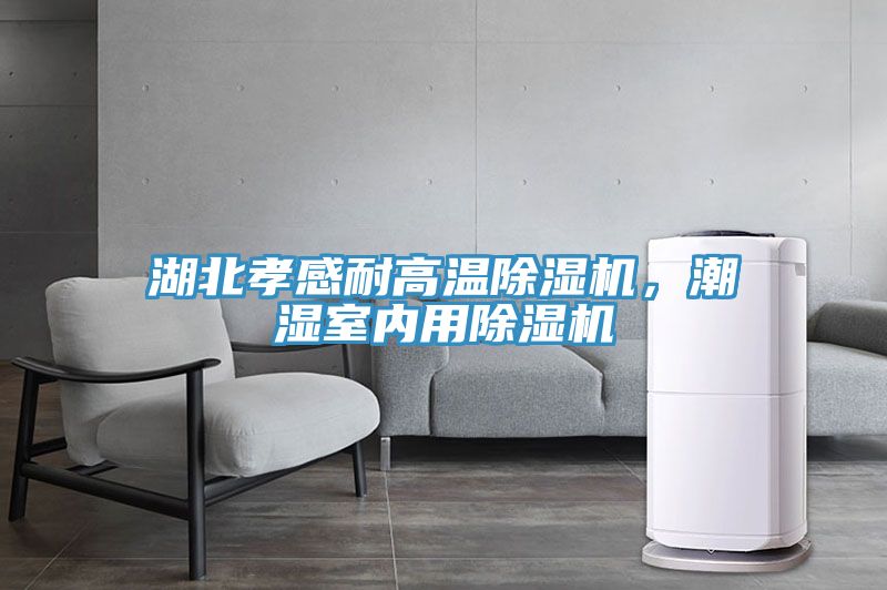 湖北孝感耐高溫除濕機(jī)，潮濕室內(nèi)用除濕機(jī)