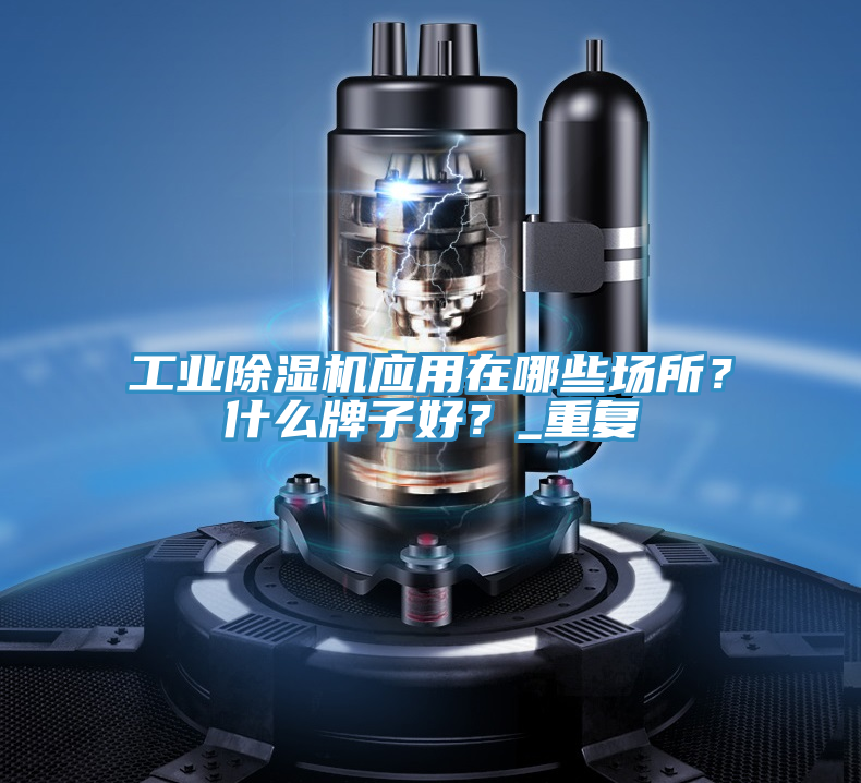 工業(yè)除濕機(jī)應(yīng)用在哪些場所？什么牌子好？_重復(fù)