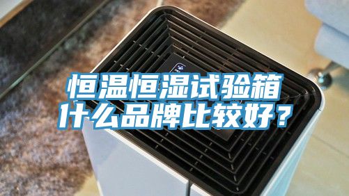 恒溫恒濕試驗箱什么品牌比較好？
