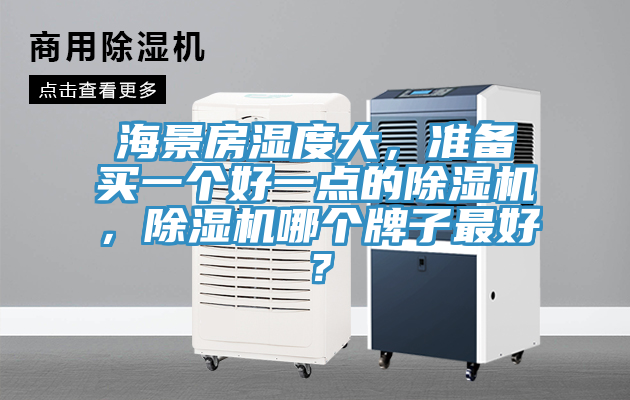 海景房濕度大，準備買一個好一點的除濕機，除濕機哪個牌子最好？