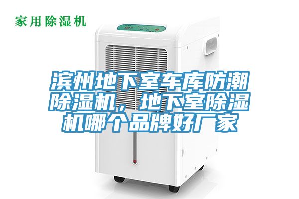 濱州地下室車庫防潮除濕機，地下室除濕機哪個品牌好廠家
