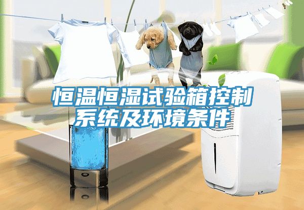 恒溫恒濕試驗箱控制系統及環(huán)境條件