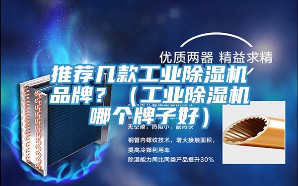 推薦幾款工業(yè)除濕機(jī)品牌？（工業(yè)除濕機(jī)哪個(gè)牌子好）