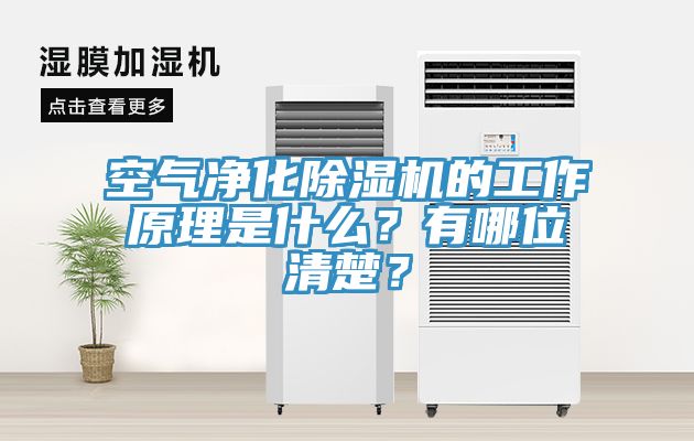 空氣凈化除濕機的工作原理是什么？有哪位清楚？