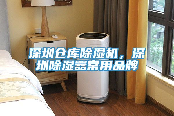 深圳倉庫除濕機，深圳除濕器常用品牌