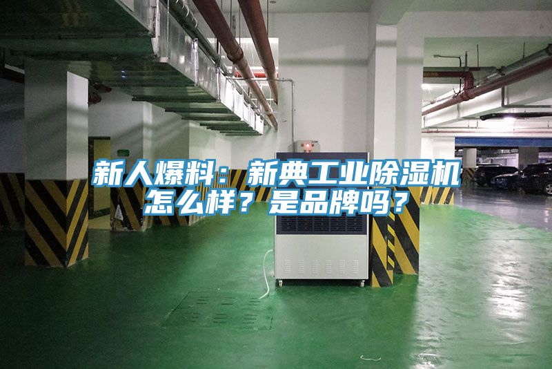 新人爆料：新典工業(yè)除濕機(jī)怎么樣？是品牌嗎？