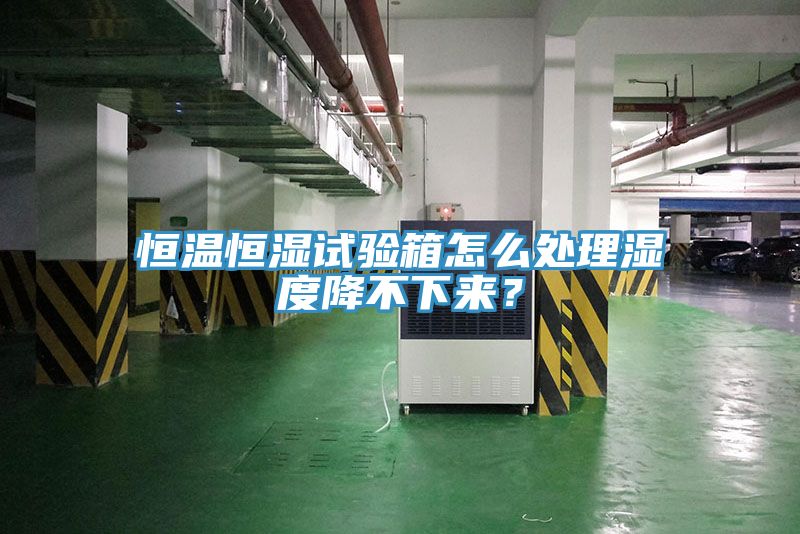 恒溫恒濕試驗箱怎么處理濕度降不下來？
