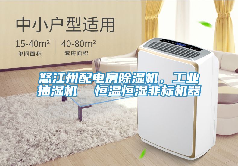 怒江州配電房除濕機(jī)，工業(yè)抽濕機(jī)  恒溫恒濕非標(biāo)機(jī)器