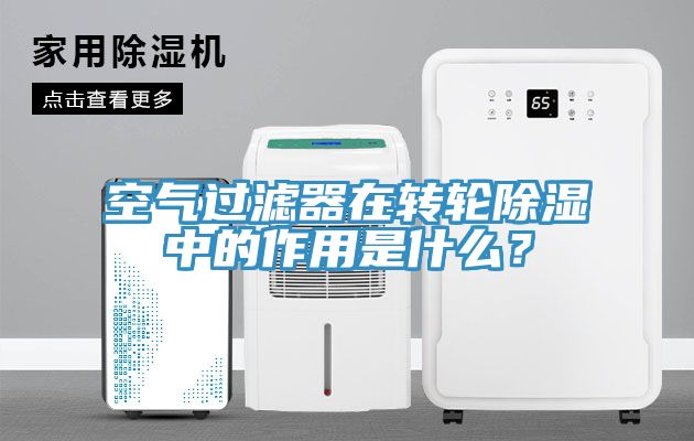空氣過濾器在轉(zhuǎn)輪除濕中的作用是什么？
