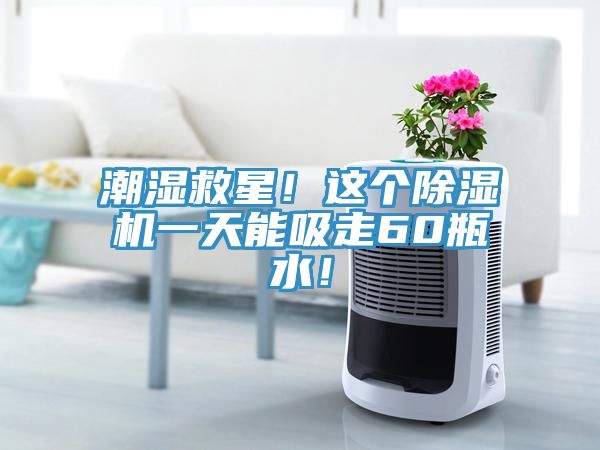 潮濕救星！這個除濕機一天能吸走60瓶水！
