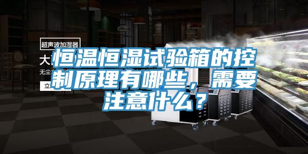 恒溫恒濕試驗(yàn)箱的控制原理有哪些，需要注意什么？