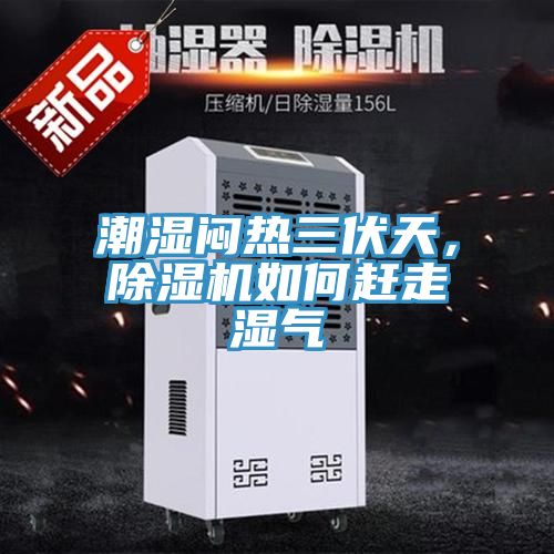 潮濕悶熱三伏天，除濕機如何趕走濕氣