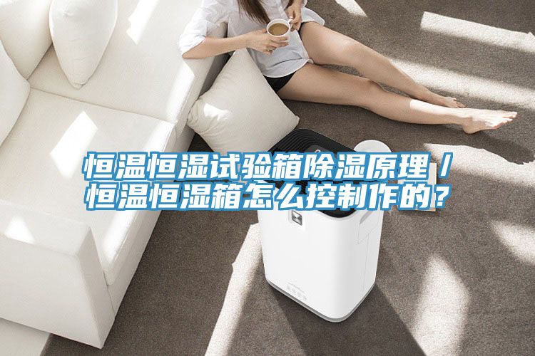 恒溫恒濕試驗(yàn)箱除濕原理／恒溫恒濕箱怎么控制作的？