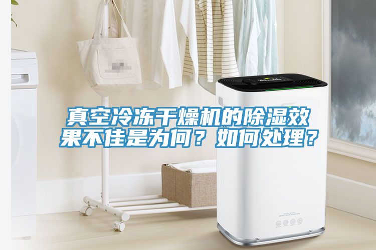 真空冷凍干燥機的除濕效果不佳是為何？如何處理？