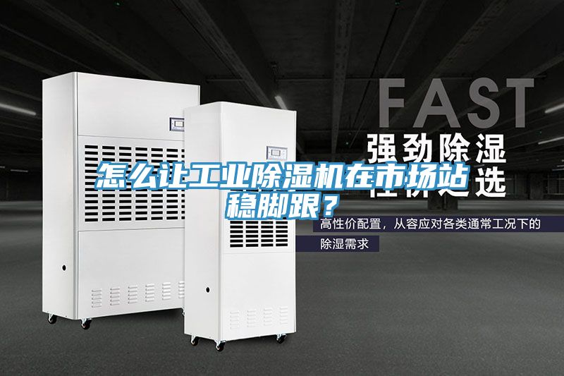 怎么讓工業(yè)除濕機(jī)在市場(chǎng)站穩(wěn)腳跟？