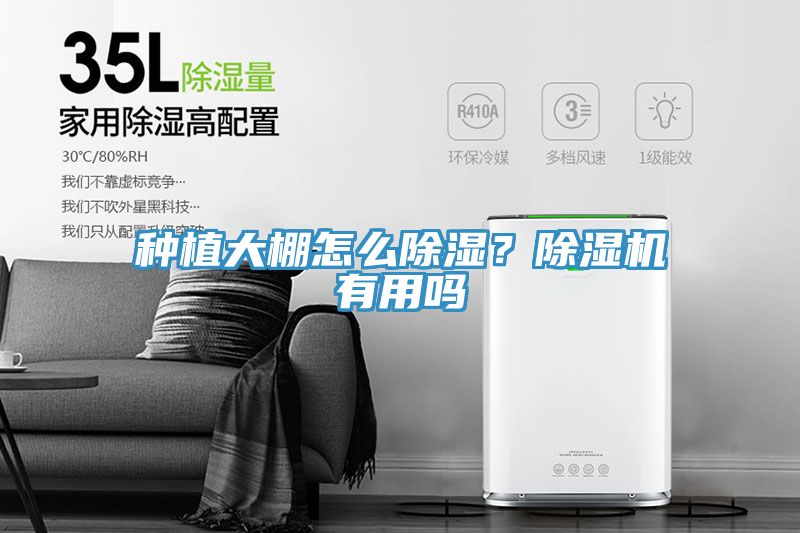 種植大棚怎么除濕？除濕機(jī)有用嗎