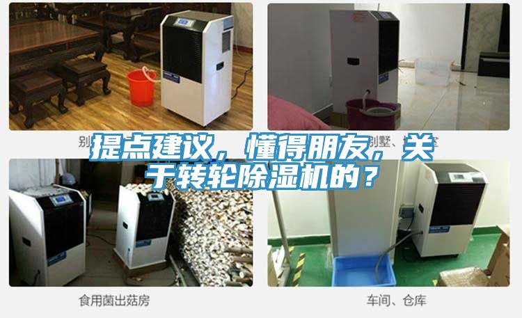提點(diǎn)建議，懂得朋友，關(guān)于轉(zhuǎn)輪除濕機(jī)的？