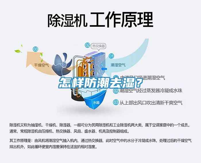 怎樣防潮去濕？