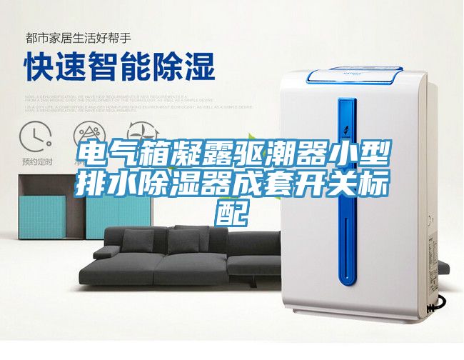 電氣箱凝露驅(qū)潮器小型排水除濕器成套開關標配