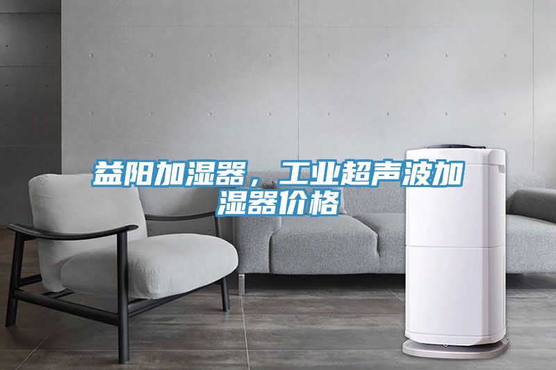 益陽加濕器，工業(yè)超聲波加濕器價格