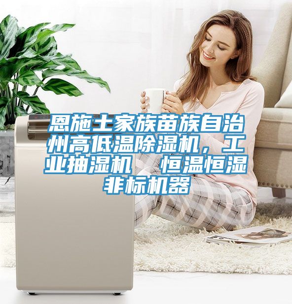 恩施土家族苗族自治州高低溫除濕機(jī)，工業(yè)抽濕機(jī)  恒溫恒濕非標(biāo)機(jī)器