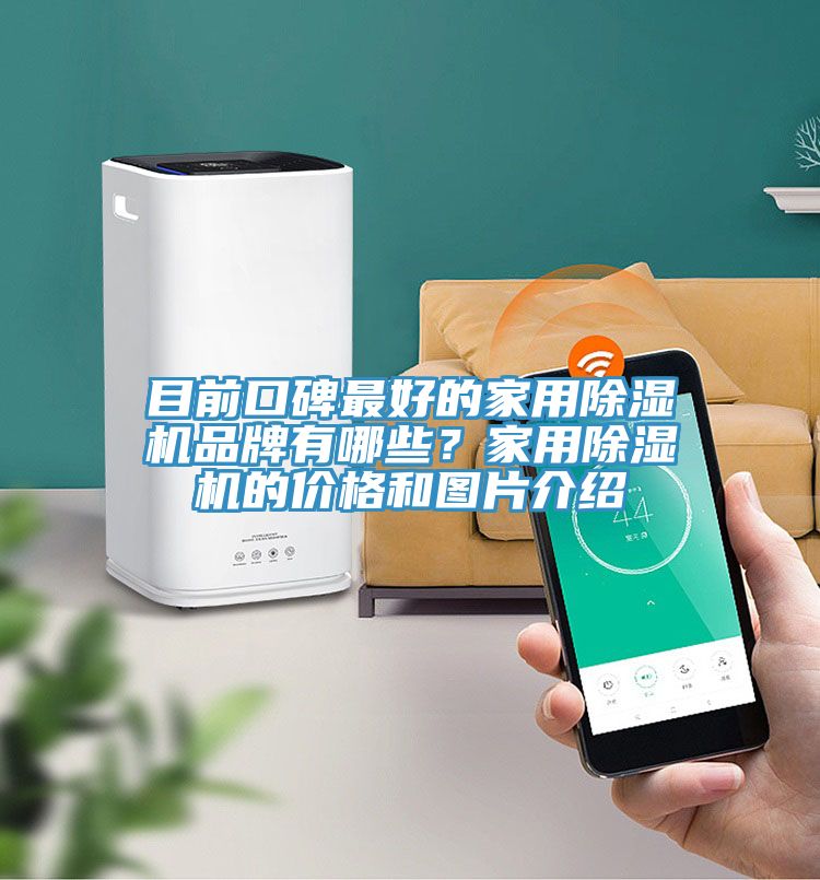目前口碑最好的家用除濕機品牌有哪些？家用除濕機的價格和圖片介紹