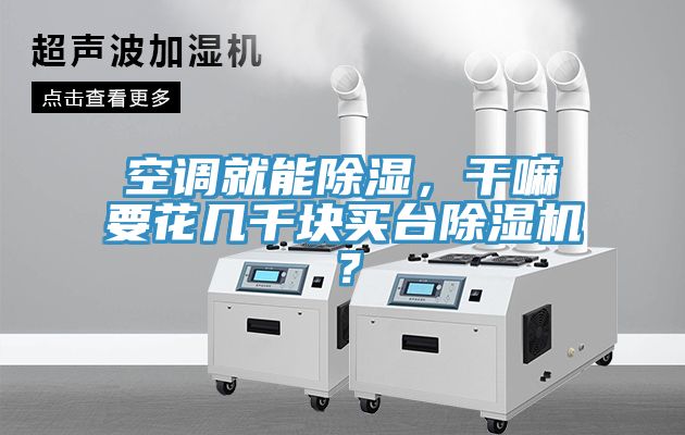 空調(diào)就能除濕，干嘛要花幾千塊買臺除濕機？