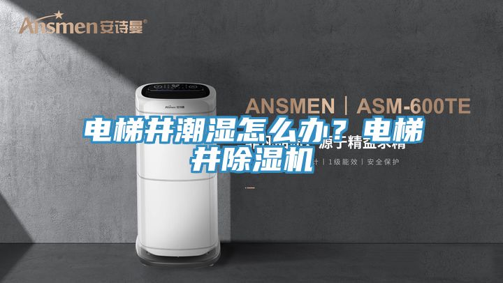 電梯井潮濕怎么辦？電梯井除濕機
